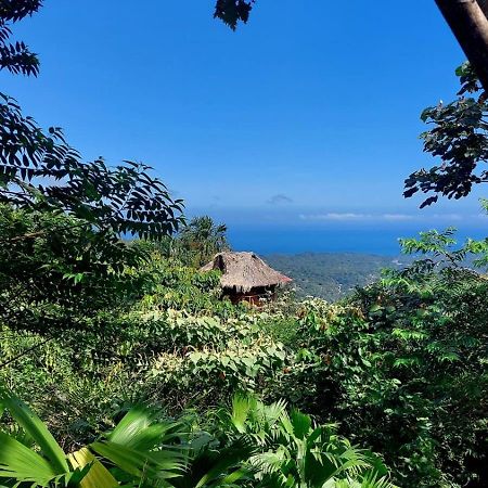 Taorayina Nature Lodge- Immersed In The Forest El Zaino Exterior foto