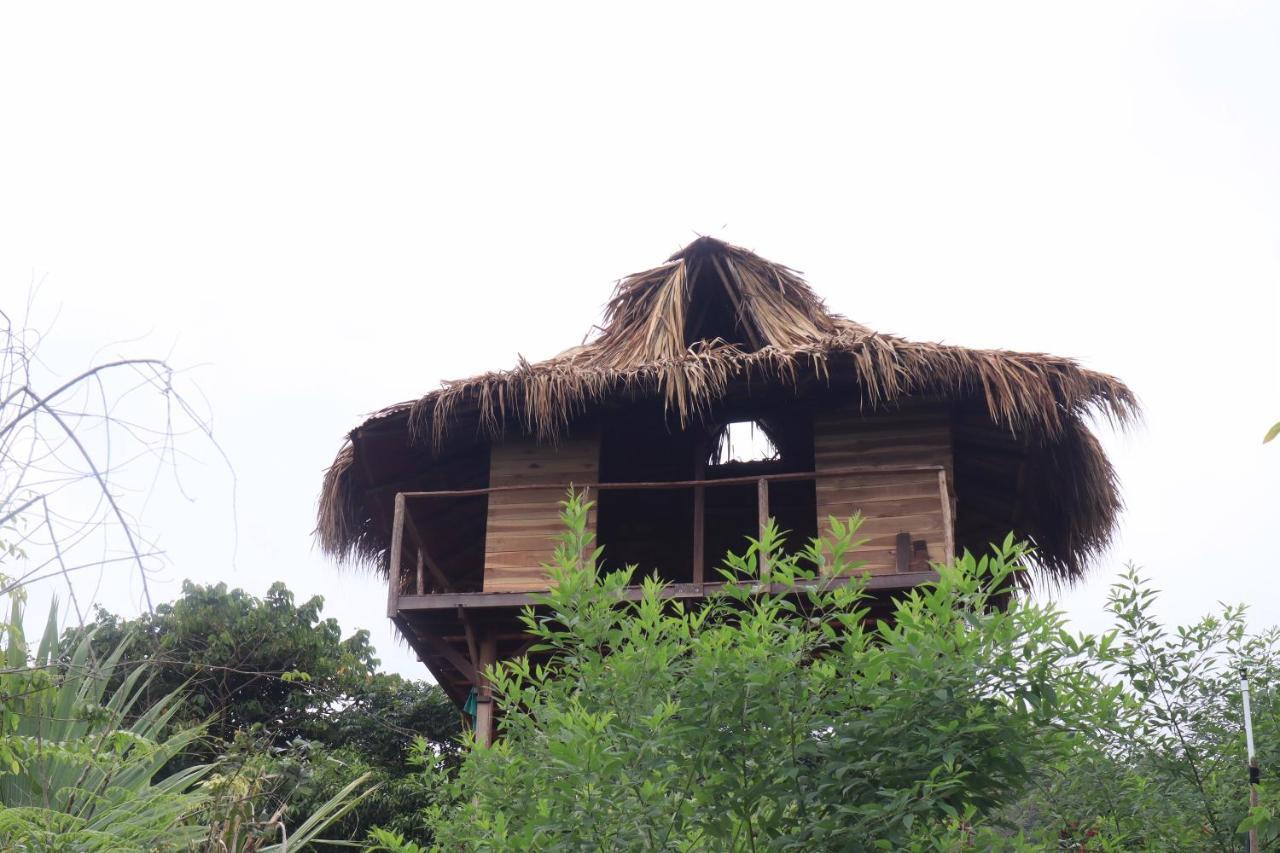 Taorayina Nature Lodge- Immersed In The Forest El Zaino Exterior foto