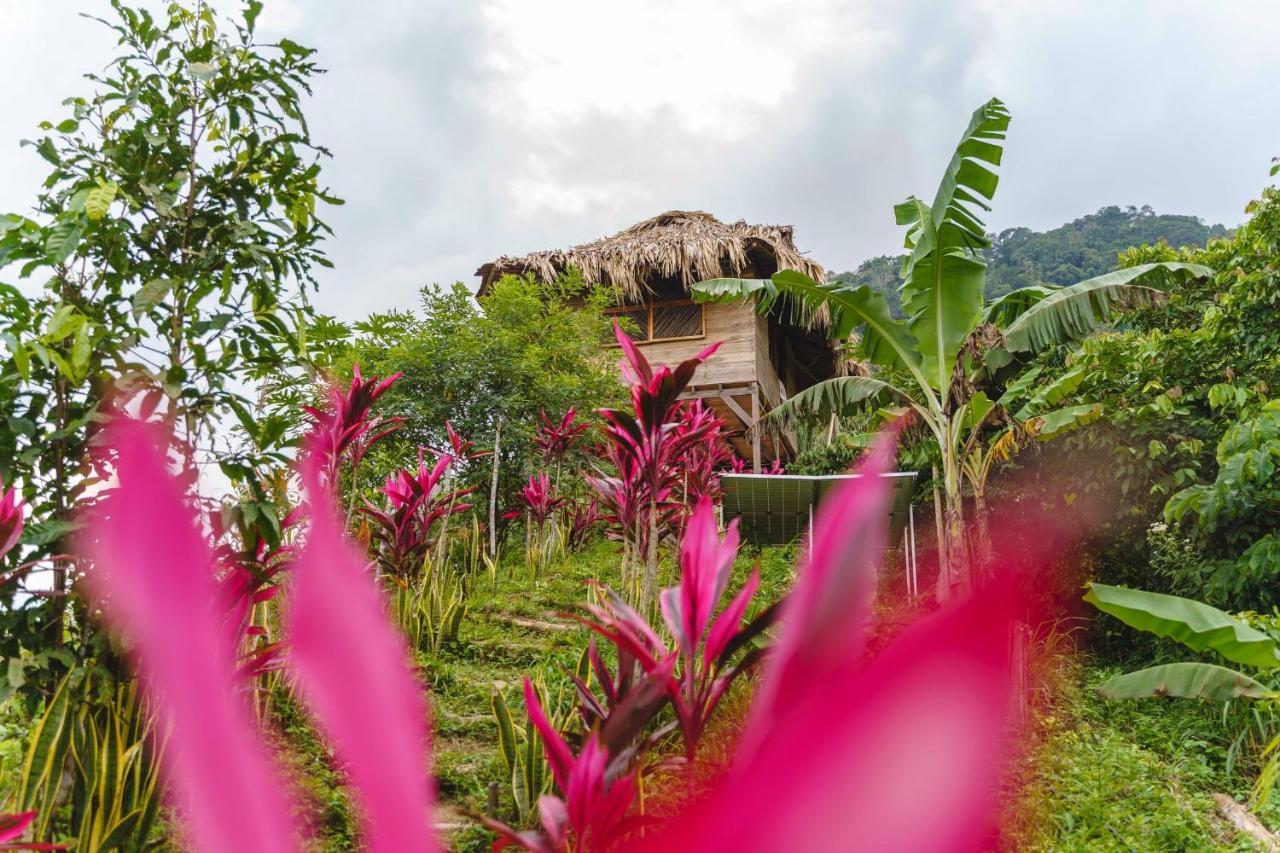 Taorayina Nature Lodge- Immersed In The Forest El Zaino Exterior foto