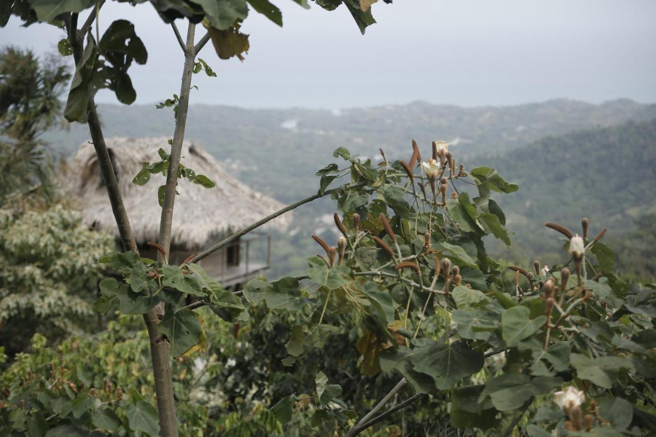 Taorayina Nature Lodge- Immersed In The Forest El Zaino Exterior foto