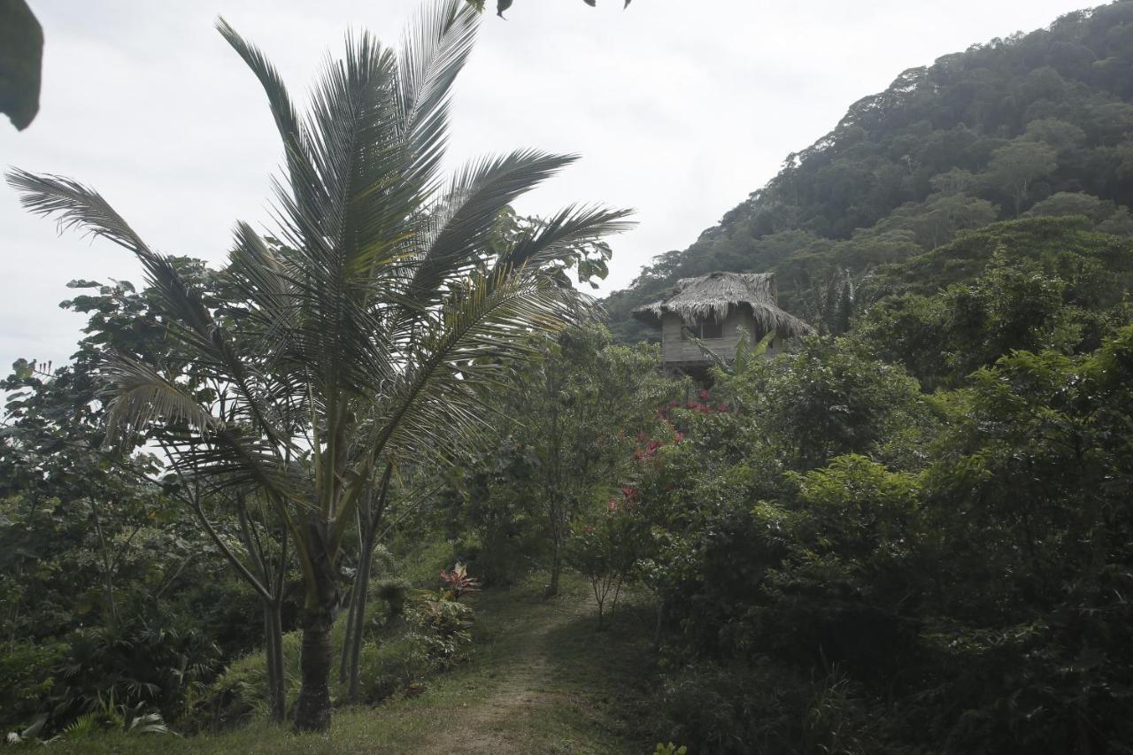 Taorayina Nature Lodge- Immersed In The Forest El Zaino Exterior foto