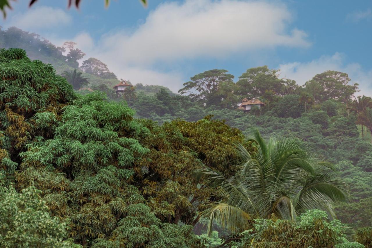 Taorayina Nature Lodge- Immersed In The Forest El Zaino Exterior foto