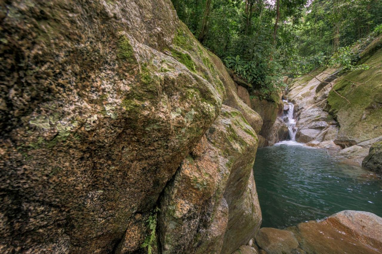 Taorayina Nature Lodge- Immersed In The Forest El Zaino Exterior foto