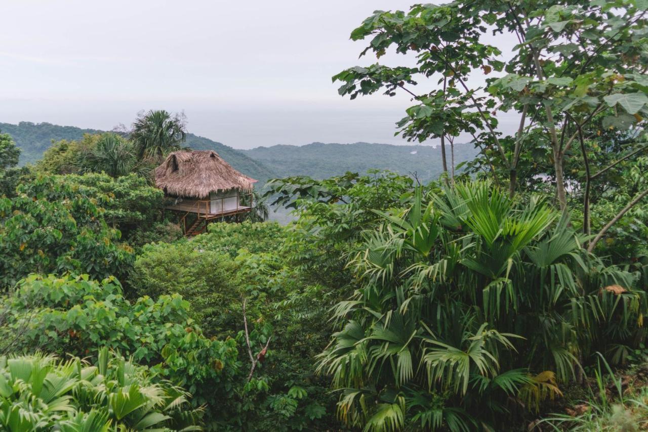 Taorayina Nature Lodge- Immersed In The Forest El Zaino Exterior foto