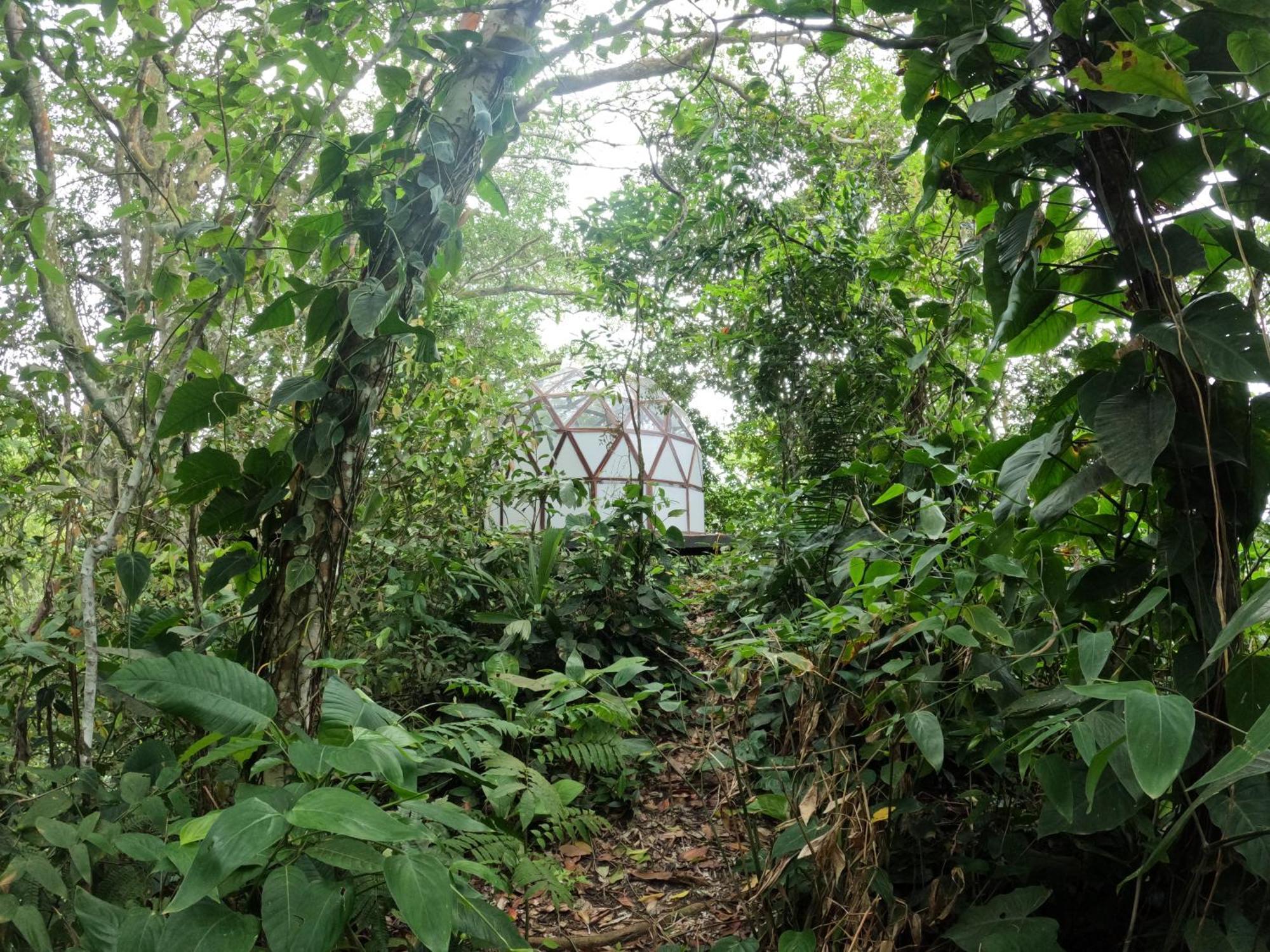 Taorayina Nature Lodge- Immersed In The Forest El Zaino Exterior foto