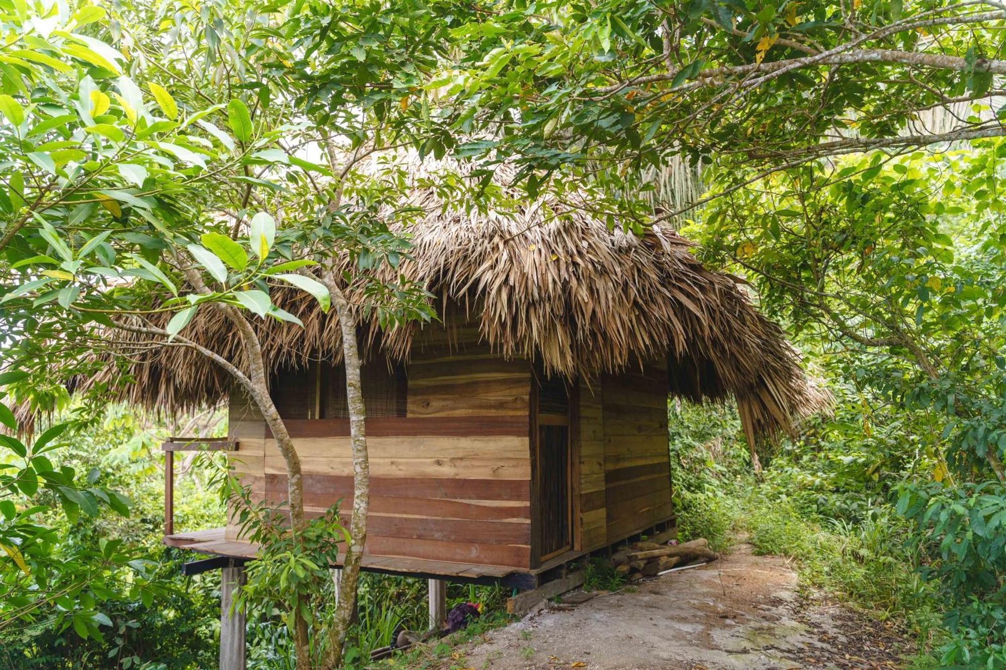 Taorayina Nature Lodge- Immersed In The Forest El Zaino Exterior foto