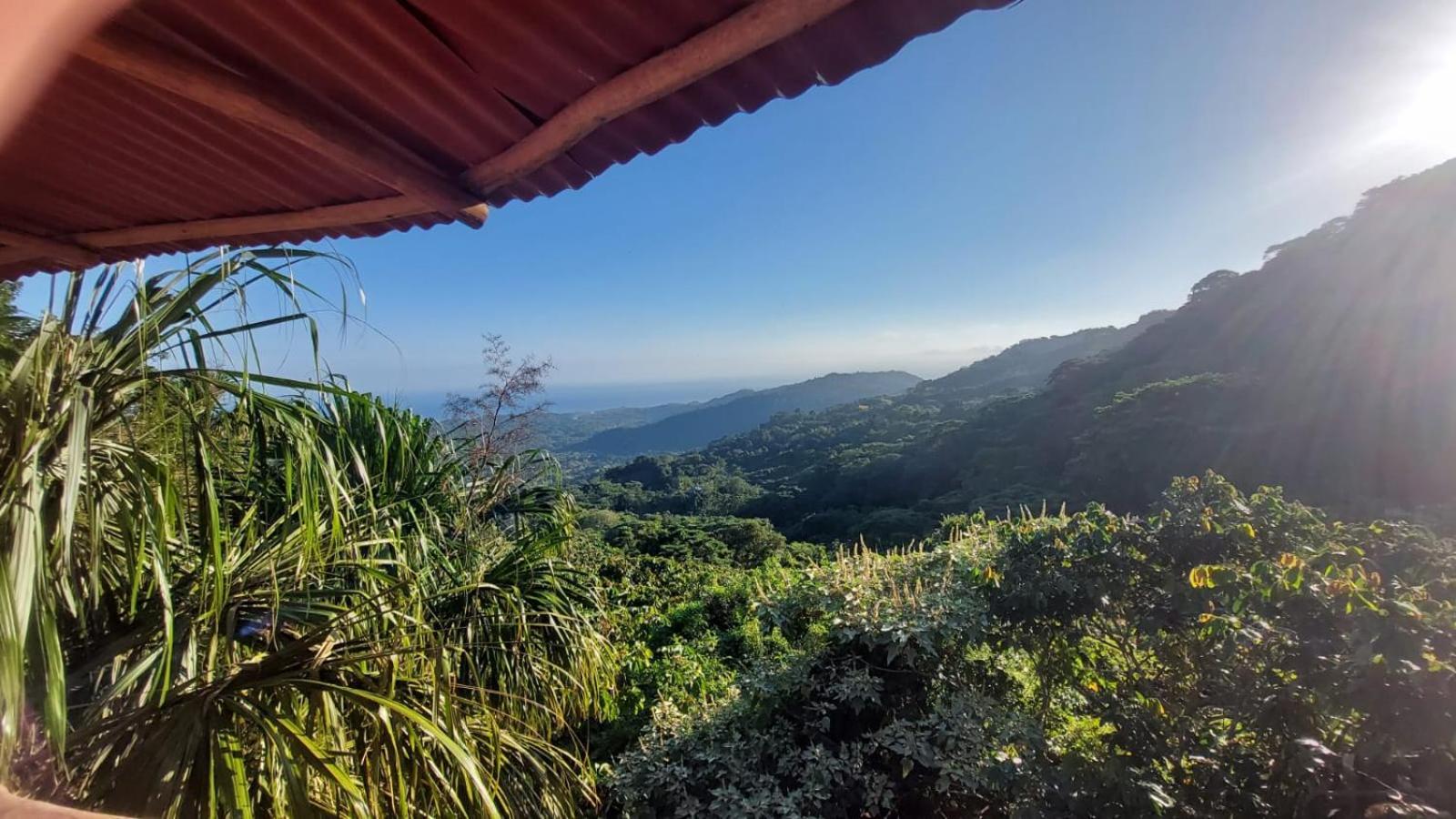 Taorayina Nature Lodge- Immersed In The Forest El Zaino Exterior foto