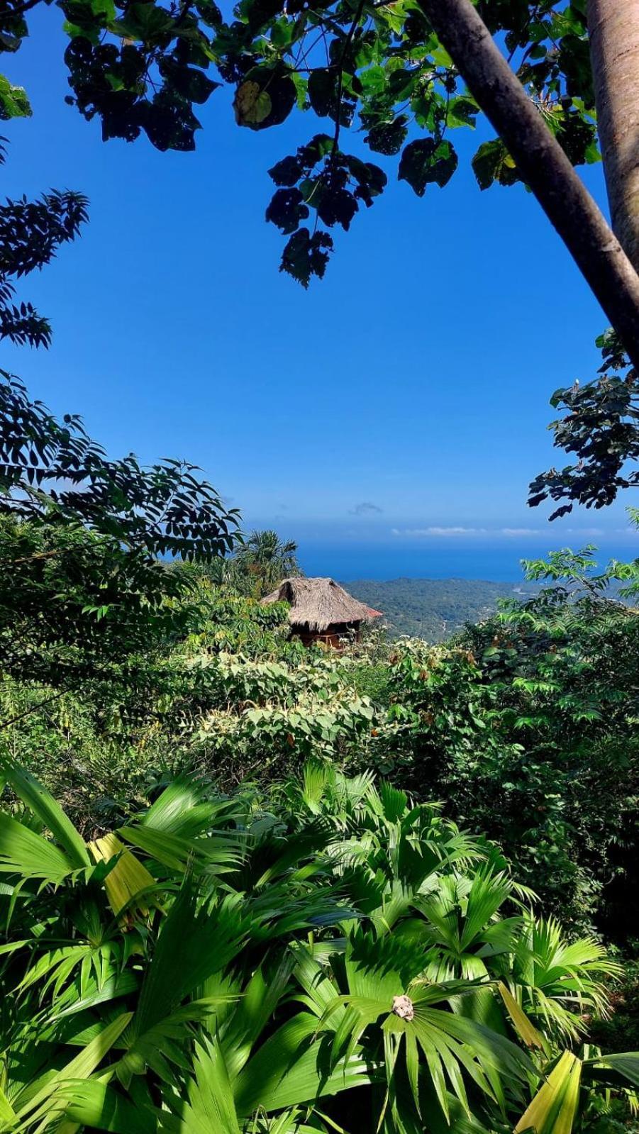 Taorayina Nature Lodge- Immersed In The Forest El Zaino Exterior foto